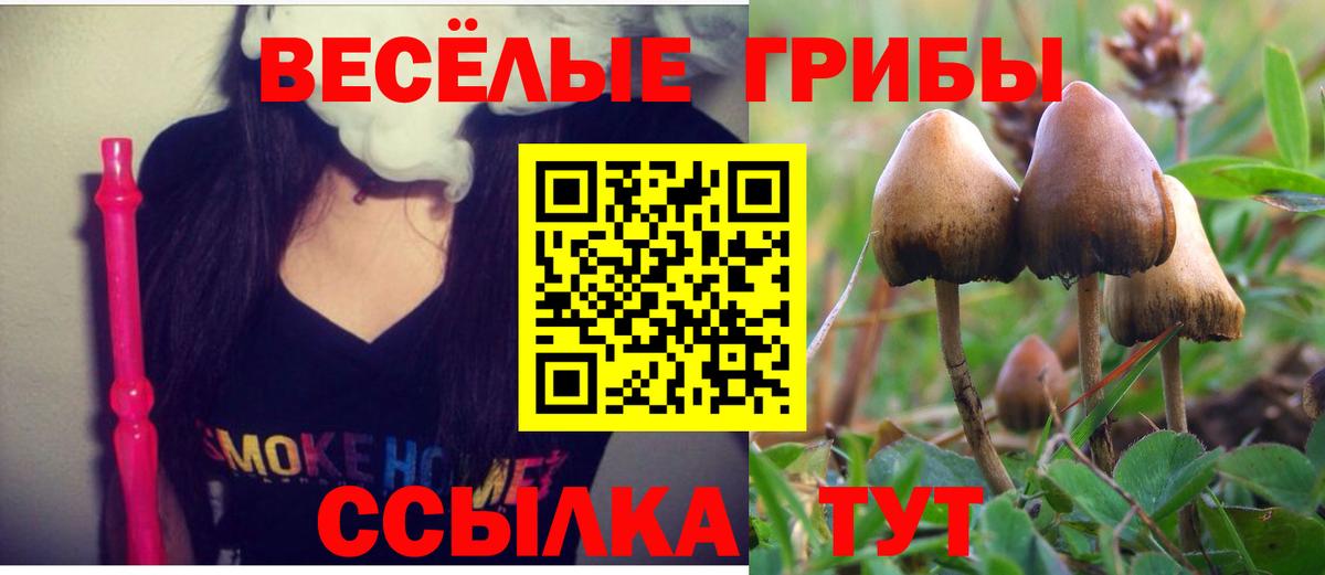 Псилоцибиновые грибы мицелий  Вход с VPN  сколько стоит  Майский  Галлюциногенные грибы GOLDEN TEACHER 